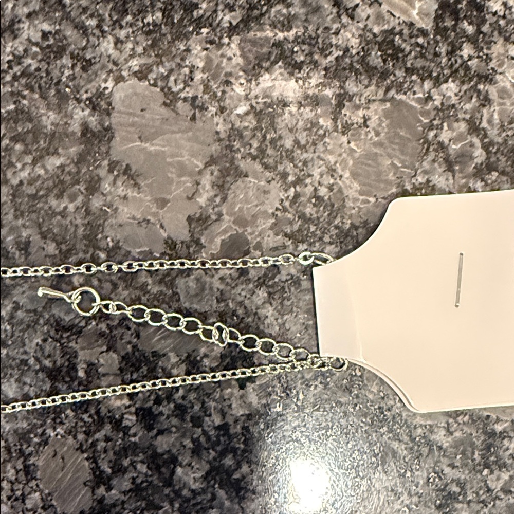 Cider Elegant Silver Tone Butterfly Pendant Chain Necklace New - Picture 3 of 9
